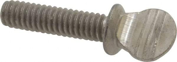 Value Collection - 1/4-20 Oval Shoulder Grade 18-8 Stainless Steel Thumb Screw - 1" OAL, 0.64" Head Height - Eagle Tool & Supply