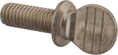 Value Collection - 3/8-16 Oval Shoulder Grade 18-8 Stainless Steel Thumb Screw - 1" OAL, 0.95" Head Height - Eagle Tool & Supply