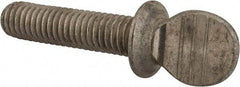 Value Collection - 3/8-16 Oval Shoulder Grade 18-8 Stainless Steel Thumb Screw - 1-1/2" OAL, 0.95" Head Height - Eagle Tool & Supply