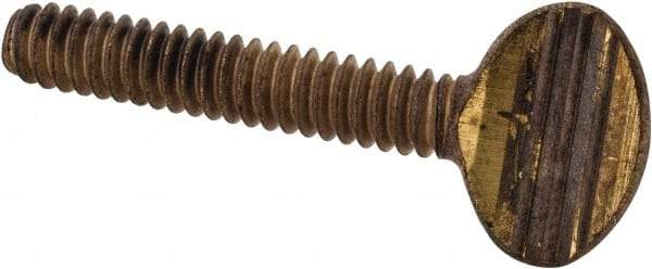 Value Collection - #10-24 Oval Shoulderless Brass Thumb Screw - 1" OAL, 0.48" Head Height - Eagle Tool & Supply