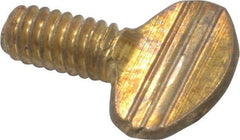 Value Collection - 1/4-20 Oval Shoulderless Brass Thumb Screw - 1/2" OAL, 0.64" Head Height - Eagle Tool & Supply