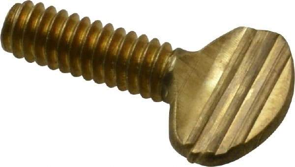 Value Collection - 1/4-20 Oval Shoulderless Brass Thumb Screw - 3/4" OAL, 0.64" Head Height - Eagle Tool & Supply