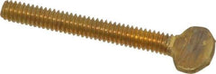 Value Collection - 1/4-20 Oval Shoulderless Brass Thumb Screw - 2" OAL, 0.64" Head Height - Eagle Tool & Supply