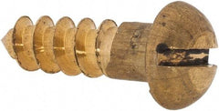 Value Collection - #12, 3/4" Length Under Head, Slotted Drive, Round Head Wood Screw - ASME B18.6.1, Brass - Eagle Tool & Supply