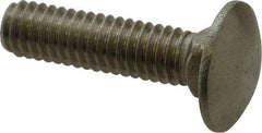 Value Collection - 5/16-18 UNC 1-1/4" Length Under Head, Standard Square Neck, Carriage Bolt - 18-8 Stainless Steel, Uncoated - Eagle Tool & Supply