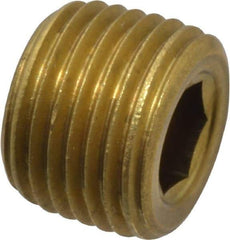 Unbrako - 1/8-27, 5/16" OAL, Brass Socket Pressure Plug - 3/4" Taper per Foot, 3/16" Hex Key - Eagle Tool & Supply