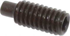 Value Collection - M4x0.70, 10mm OAL, Dog Point Set Screw - Grade 14.9 (45H) Alloy Steel, 2mm Key - Eagle Tool & Supply
