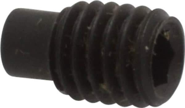 Value Collection - M5x0.80, 8mm OAL, Dog Point Set Screw - Grade 14.9 (45H) Alloy Steel, 2.5mm Key - Eagle Tool & Supply