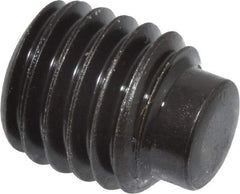 Value Collection - M10x1.50, 12mm OAL, Dog Point Set Screw - Grade 14.9 (45H) Alloy Steel, 5mm Key - Eagle Tool & Supply