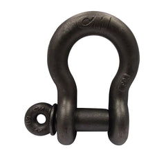 Anchor Shackle: Screw Pin Self-Colored Finish, Alloy Steel