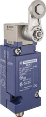 Telemecanique Sensors - 240 VAC, Screw Terminal, General Purpose Limit Switch - IP66 IPR Rating - Eagle Tool & Supply