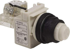 Schneider Electric - 120 V White Lens LED Press-to-Test Indicating Light - Round Lens, Screw Clamp Connector, Corrosion Resistant, Dust Resistant, Oil Resistant - Eagle Tool & Supply