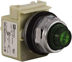 Schneider Electric - 120 VAC Green Lens Indicating Light - Screw Clamp Connector - Eagle Tool & Supply