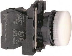 Schneider Electric - 230-240 VAC at 50/60 Hz White Lens LED Pilot Light - Round Lens, Screw Clamp Connector, 30mm Wide, Vibration Resistant, Water Resistant - Eagle Tool & Supply