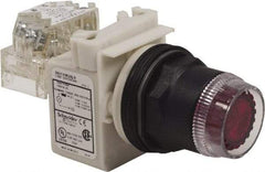 Schneider Electric - 30mm Mount Hole, Extended Straight, Pushbutton Switch with Contact Block - Red Pushbutton, Momentary (MO) - Eagle Tool & Supply