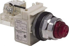 Schneider Electric - 120 VAC Red Lens LED Pilot Light - Round Lens, Screw Clamp Connector - Eagle Tool & Supply