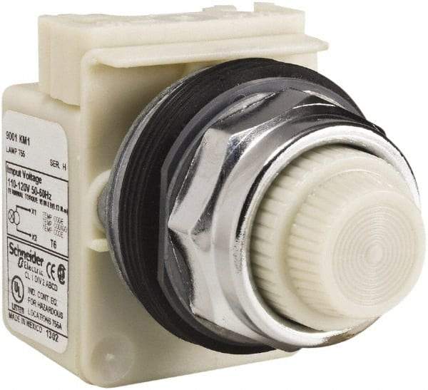 Schneider Electric - 120 VAC White Lens Indicating Light - Screw Clamp Connector - Eagle Tool & Supply