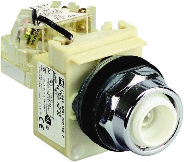 Schneider Electric - 250 V Incandescent & LED Push-to-Test Pilot Light - Screw Clamp Connector, 104mm OAL x 54mm Wide, Dust-tight, Oiltight, Shock Resistant, Vibration Resistant, Watertight - Eagle Tool & Supply