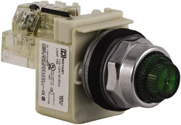 Schneider Electric - 120 VAC Green Lens Indicating Light - Screw Clamp Connector - Eagle Tool & Supply