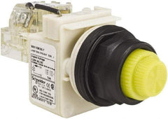 Schneider Electric - 120 V Yellow Lens LED Press-to-Test Indicating Light - Round Lens, Screw Clamp Connector, Corrosion Resistant, Dust Resistant, Oil Resistant - Eagle Tool & Supply