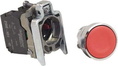 Schneider Electric - 22mm Mount Hole, Pushbutton Switch with Contact Block - Round, Red Pushbutton, Nonilluminated, Momentary (MO), Anticorrosive, Dust Resistant and Vaportight - Eagle Tool & Supply