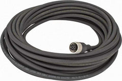 Telemecanique Sensors - 2 Amp, M12 Cable Straight with Female Prewired Connector Sensor and Receptacle - 30 VAC, 36 VDC, 10m Cable Length, IP67 Ingress Rating - Eagle Tool & Supply