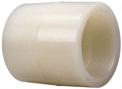 NIBCO - 1" PVDF Plastic Pipe Adapter Coupling - Schedule 80, S x FIPT End Connections - Eagle Tool & Supply