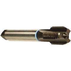 Emuge - 7/16-14 UNC 2BX 3 Flute Nitride Finish Cobalt Straight Flute Machine Tap - Modified Bottoming, Right Hand Thread, 3-5/32" OAL, 0.866" Thread Length, Oversize - Exact Industrial Supply