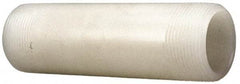 NIBCO - 2" Pipe, PVDF Threaded Plastic Pipe Nipple - Schedule 80, Natural - Eagle Tool & Supply
