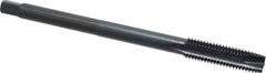Kennametal - M12x1.75 Metric Coarse 3 Flute D6 Oxide Finish High Speed Steel Spiral Point Extension Tap - Plug Chamfer, 6" OAL, 6H Class of Fit - Eagle Tool & Supply