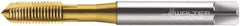 Walter-Prototyp - M1.2x0.25 Metric, 2 Flute, TiN Finish, Cobalt Spiral Point Tap - Plug Chamfer, Right Hand Thread, 40mm OAL, 5mm Thread Length, 2.5mm Shank Diam, 6H Class of Fit, Series P2021005 - Exact Industrial Supply