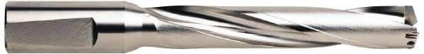 Guhring - 18 to 19.05mm Diam, 5xD, 100mm Max Depth, 20mm Shank Diam, 124mm Flute, 178mm OAL, Replaceable Tip Drill - RT 800 WP Insert, 1.1 Seat Size, Series 5243 - Eagle Tool & Supply