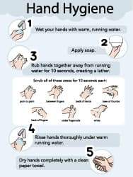 NMC - 18" Wide x 24" High Laminated Paper Hand Hygiene Information Poster - 0.01" Thick, English - Eagle Tool & Supply