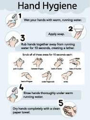 NMC - 18" Wide x 24" High Laminated Paper Hand Hygiene Information Poster - 0.01" Thick, English - Eagle Tool & Supply