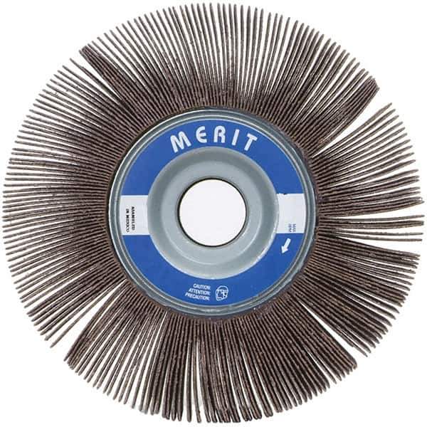 Merit Abrasives - 8" Diam, 80 Grit Ceramic Unmounted Flap Wheel - 1" Hole, 1" Wide, Coated, Medium Grade, 4,500 Max RPM , Cloth Backing - Eagle Tool & Supply