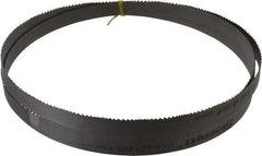 Starrett - 6 to 10 TPI, 8' 2-1/2" Long x 3/4" Wide x 0.035" Thick, Welded Band Saw Blade - Bi-Metal, Toothed Edge, Raker Tooth Set, Contour Cutting - Eagle Tool & Supply