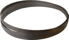 Starrett - 8 to 12 TPI, 14' 6" Long x 3/4" Wide x 0.035" Thick, Welded Band Saw Blade - Bi-Metal, Toothed Edge, Raker Tooth Set, Contour Cutting - Eagle Tool & Supply