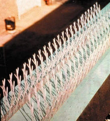 Bird-X - Plastic Bird Spikes - 4-1/2 Inch High x 2-1/4 Inch Wide x 25 Ft. Long x 0.5 Inch Thick - Eagle Tool & Supply