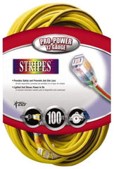 Southwire - 100', 12/3 Gauge/Conductors, Yellow/Purple Outdoor Extension Cord - 1 Receptacle, 15 Amps, 125 VAC, UL SJTW, NEMA 5-15P, 5-15R - Eagle Tool & Supply