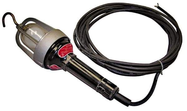 Made in USA - 100 Watt, Electric, Incandescent Portable Hook Work Light - 50' Cord, 1 Head, 900 Lumens - Eagle Tool & Supply