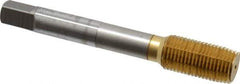 OSG - 1/2-20 UNF H5 Thread Limit Plug Thread Forming Tap - Cobalt, TiN Finish, 3-3/8" OAL, 1-21/32" Thread Length, Right Hand Thread, Series HY-PRO NRT - Eagle Tool & Supply