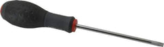 Blackhawk by Proto - TT30 Torx Driver - 5" Blade Length, 9-1/2" OAL, Ergonomic Handle - Eagle Tool & Supply
