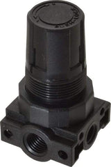 Parker - 1/4 NPT Port, Plastic Miniature Regulator - 0 to 25 psi Range, 150 Max psi Supply Pressure, 1/8" Gauge Port Thread, 1.6" Wide x 3.1" High - Eagle Tool & Supply
