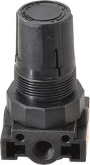 Parker - 1/4 NPT Port, Plastic Miniature Regulator - 0 to 125 psi Range, 150 Max psi Supply Pressure, 1/8" Gauge Port Thread, 1.6" Wide x 3.1" High - Eagle Tool & Supply