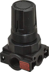 Parker - 1/4 NPT Port, Plastic Miniature Regulator - 0 to 25 psi Range, 150 Max psi Supply Pressure, 1/8" Gauge Port Thread, 1.6" Wide x 3.1" High - Eagle Tool & Supply