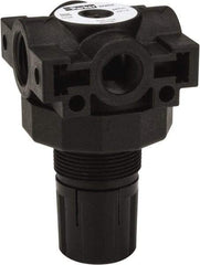 Parker - 3/8 NPT Port, Plastic Miniature Regulator - 0 to 25 psi Range, 150 Max psi Supply Pressure, 1/4" Gauge Port Thread, 2.06" Wide x 3.43" High - Eagle Tool & Supply