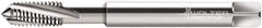 Walter-Prototyp - M6x1.00 Metric 3 Flute 6HX Modified Bottoming Spiral Flute Tap - Powdered Metal, Bright Finish, 80mm OAL, Right Hand Flute, Right Hand Thread, Series 20416 - Exact Industrial Supply