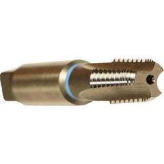 Emuge - Bright Finish, Cobalt, Interrupted Thread Pipe Tap - 2-7/16 Inch Overall Length, 1.06 Inch Thread Length, 0.42 Inch Square Size, Series KEG - Eagle Tool & Supply