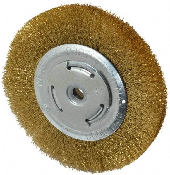 Value Collection - 6" OD, 5/8" Arbor Hole, Crimped Brass Wheel Brush - 1/2" Face Width, 1-1/8" Trim Length, 0.008" Filament Diam, 6,000 RPM - Eagle Tool & Supply