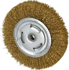 Value Collection - 6" OD, 5/8" Arbor Hole, Crimped Brass Wheel Brush - 1/2" Face Width, 1-1/8" Trim Length, 0.02" Filament Diam, 6,000 RPM - Eagle Tool & Supply